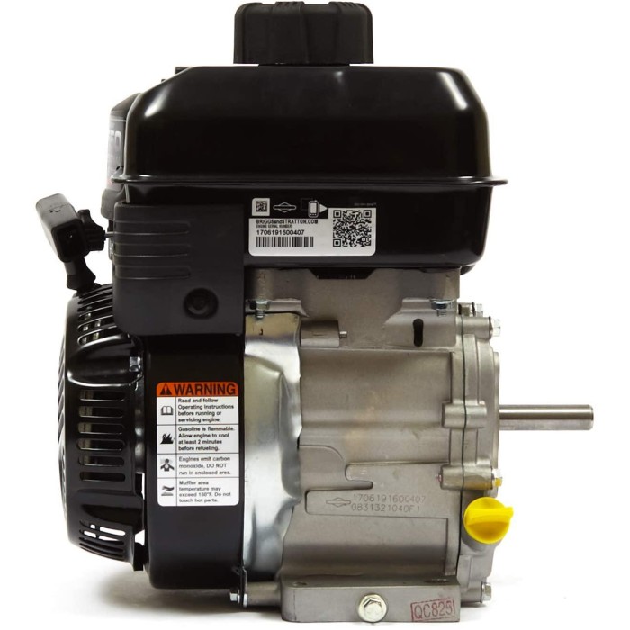 Briggs and Stratton 83132-1040-F1 550 Series 127cc Engine